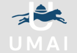 Компания UMAI Компания UMAI